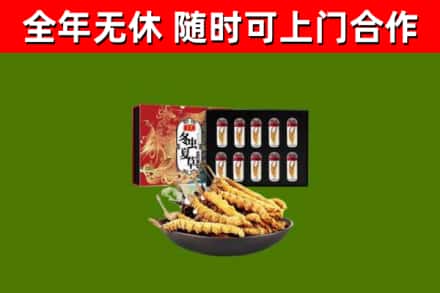尖草坪区回收冬虫夏草价格