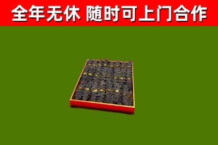 尖草坪区回收海参